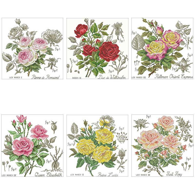 Shadow Rose Patterns Counted 1 – Embroidery Rose Stitch recenzja i cena